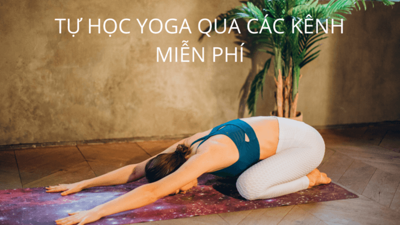 The Yoga Room phù hợp cho những ai đang tìm kiếm các phương pháp trị liệu và nâng cao sức khỏe tại nhà nhẹ nhàng 