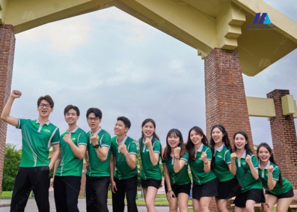 Mẫu Áo thun Team Building Đồng Phục VieOn