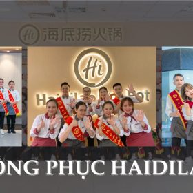 đồng phục haidilao- đồng phục Hải Anh